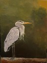 Reiger